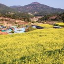 청산도 여행 이미지