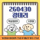 아트메리 | JK아트컨벤션 아이폰스냅 : 메리가든스냅 예약후기 (짝꿍코드 20260430광태리)