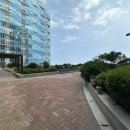 팔레드시즈 이미지