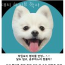 대치하이브학사 | 강남 대치동 고시원 대치 하이브 학사 위치 정보