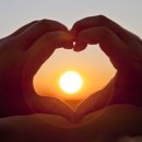 아름다운 동행 이미지