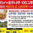 황금슈퍼 이미지