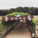 야생화단지내 이미지