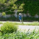 도림천 산책로5 이미지