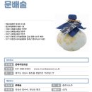 증류 이미지