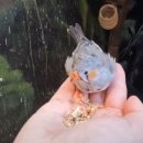 래돈 영등포점 이미지