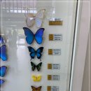 정원어린이집 | 5세,3세와 다녀온 노원구 아이와갈곳 불암산나비정원 서울 무료 물놀이 준비물