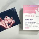 닥터퓨토