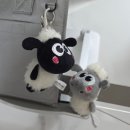 인형뽑기세상 이미지