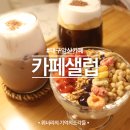 카페샐럽 이미지