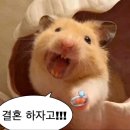 데이식스 FOREVER YOUNG 콘서트 day5 후기
