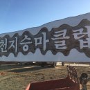 천지승마클럽 이미지