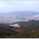 230081 Daum카페