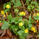 천마산10리길 이미지