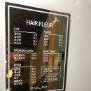 헤어 플레르