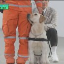 토백이