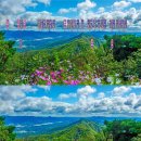 신안아파트후문 이미지