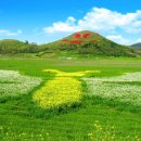 함평마트 이미지