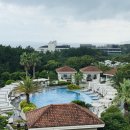 더밤호텔 | 제주 신라호텔 여름 후기, 낮보다 더 즐거웠던 밤 수영장