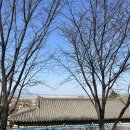 법사 행정사 이미지