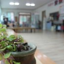 산중가든식당 Daum카페