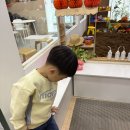 보니아틀리에