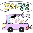 아밍 뷰티