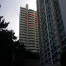 사하구 사하로 이미지