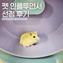 [공지] 네이버 펫 인플루언서 12월 선정 후기