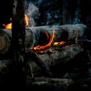 파주오토 이미지