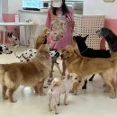 새마을 유치원 이미지