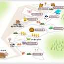 단풍숲캠핑장 티스토리