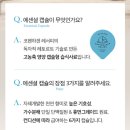 홀니스 | 코펜하겐 레서피 에센셜 캡슐(주황색) 체험단 후기