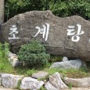 초리골초계탕 이미지