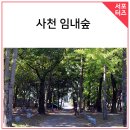 임내숲 이미지