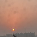대양주유소 | [여행] 광양/구례 1박2일 방문 후기 (광양매화마을 봄꽃축제,주차 꿀팁)