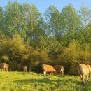 범당골농장 이미지