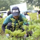 산음휴양림 달빛마을 이미지