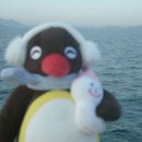 몽쥬르 이미지