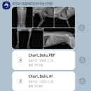 쪼꼬동물메디컬센터 | 쪼꼬의 췌장염:동물병원 추천