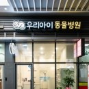 베이동물병원 이미지