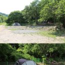 도그파크랜드 이미지