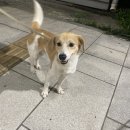 이마트24 옥천교점 Daum카페