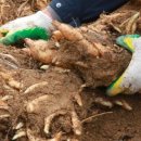 안성면099 이미지