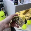 남중파크 이미지