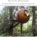 사법행정사 민원사무소 | 부동산시세확인서 바로알고 신청하기(서초동 소망행정사 공인중개사 사무소)