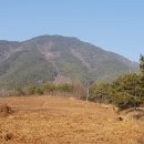 고사리민박 이미지