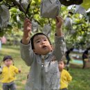 안나농원 이미지