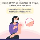 예방접종 전 후 주의사항 (열, 붓기는 어떻게 하나요? ) 이미지