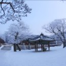 입장교차로(용인방향)